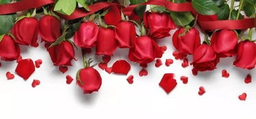 2018年度云南省綠色食品“十大名品”評選結(jié)果公示