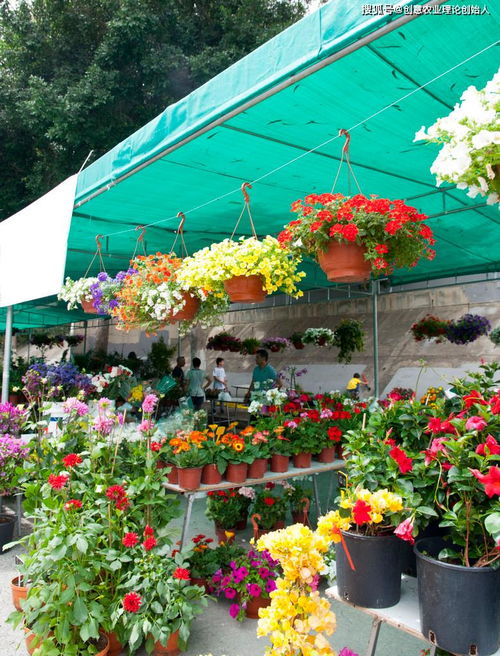 鮮花經(jīng)濟開出新花樣 機械設(shè)備賦能產(chǎn)業(yè)鏈升級