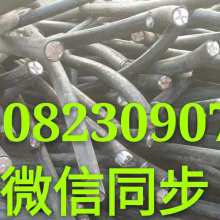 循環(huán)經(jīng)濟(jì)的基石 再生資源回收的意義、挑戰(zhàn)與發(fā)展路徑