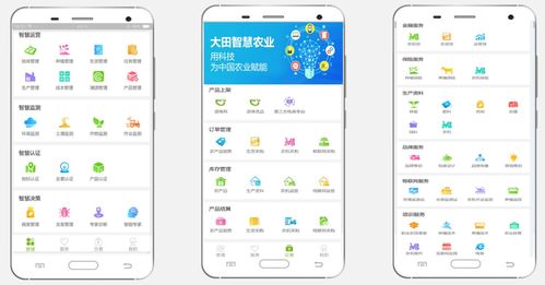 大田智慧農(nóng)業(yè) 以1.28億元數(shù)字化服務(wù)，筑牢農(nóng)產(chǎn)品安全生命線