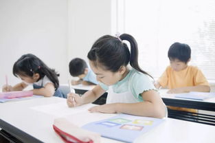 碧桂園·南大街 居于此，學府林立，人文氣韻涵養未來——從學前教育啟航